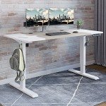 Radlove 55" Electric Height Adjustable Standing Desk