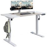 Radlove 55" Electric Height Adjustable Standing Desk