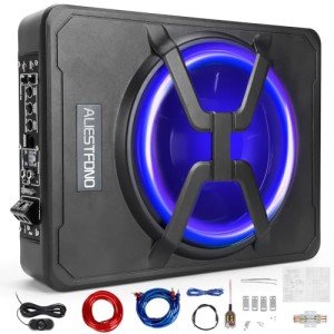 10-Inch 800W Under Seat Car Subwoofer with Remote