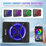 10-Inch 800W Under Seat Car Subwoofer with Remote