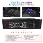 10-Inch 800W Under Seat Car Subwoofer with Remote
