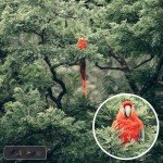 420-1600mm f/8.3 Telephoto Zoom Lens for Canon