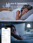Meross Smart WiFi LED Bulbs 2-Pack, Multicolor
