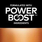 Duracell Coppertop AAA Batteries, 16 Count Pack