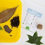 Elementree Eco-Friendly Printer Paper, 2500 Sheets