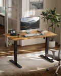 Marsail Adjustable Standing Desk with Memory Presets
