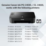 Canon PG-245 XL & CL-246 XL Ink Cartridges Pack