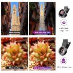 Apexel 2-in-1 Phone Camera Lens Kit