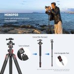 NEEWER 79" Aluminum Camera Tripod Monopod with Head