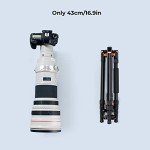 K&F Concept 78" Travel Tripod with Metal Ball Head