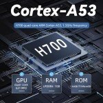 RG35XX H Retro Game Console with IPS Screen