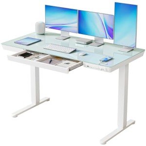 BANTI Height Adjustable Electric Standing Desk, 55-Inch