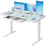 BANTI Height Adjustable Electric Standing Desk, 55-Inch