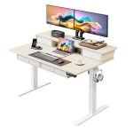 ErGear 48" Height Adjustable Standing Desk with Drawers