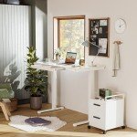 BANTI Height Adjustable Electric Standing Desk, 55-Inch