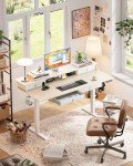 ErGear 48" Height Adjustable Standing Desk with Drawers