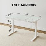 BANTI Height Adjustable Electric Standing Desk, 55-Inch