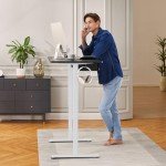 ErGear Height Adjustable Electric Stand-Up Desk Frame
