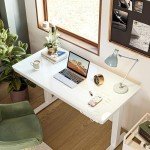 BANTI Height Adjustable Electric Standing Desk, 55-Inch