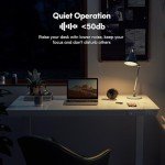 BANTI Height Adjustable Electric Standing Desk, 55-Inch