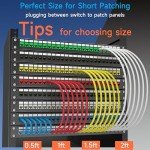 Lysymixs 6ft Cat6 Ethernet Patch Cable 10-Pack