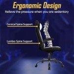 Ruesleag Ergonomic Gaming Chair with Lumbar Support
