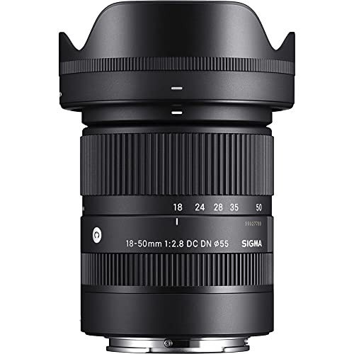 Sony E 18-50mm F2.8 DC DN Lens Black