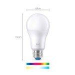 WiZ 60W A19 LED Smart Light Bulb