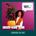 WiZ 60W A19 LED Smart Light Bulb