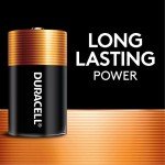 Duracell Coppertop D Batteries, 10-Pack