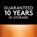 Duracell Coppertop D Batteries, 10-Pack