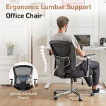 Heavy Duty Ergonomic Office Chair with Lumbar Support