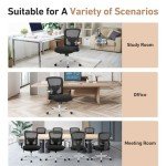 Heavy Duty Ergonomic Office Chair with Lumbar Support