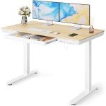 Marsail 48 x 24 Inch Adjustable Standing Desk