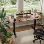 Furmax 63" Electric Height Adjustable Standing Desk