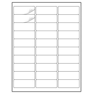 Methdic 1" x 2.625" Mailing Labels - 900 Stickers