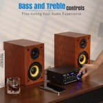 AK45 Pro 50W Bluetooth Stereo Amplifier for Home