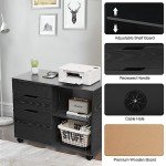 Sweetcrispy Lateral Mobile File Cabinet with Wheels