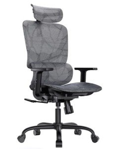 High-Back Ergonomic Mesh Office Chair with Lumbar Support