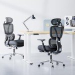 FLEXISPOT C7 Lite Office Chair for Big & Tall