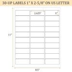 FungLam 1" x 2-5/8" Printable Address Label Sheets