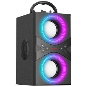DINDIN 40W Bluetooth Portable Speaker with Lights