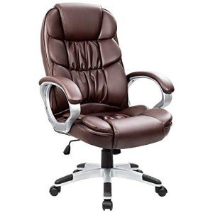 Ergonomic High Back Office Chair with Lumbar Support