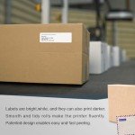 BETCKEY DYMO 30252 Address & Barcode Labels