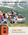 Portable 300W Solar Power Station with Panels