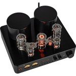 Dayton Audio HTA200 200W Hi-Fi Tube Amplifier