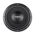 Skar Audio 10" 1000W Dual 4 Ohm Subwoofer