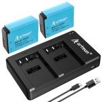 Artman Dual Micro USB Charger & LP-E17 Batteries