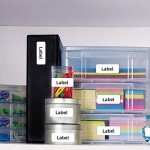 100 Sheets of 3000 Shipping Address Labels
