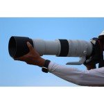 Canon RF 200-800mm Super-Telephoto Zoom Lens Bundle